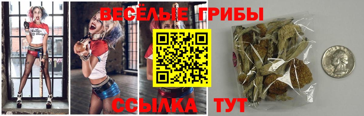 Псилоцибиновые грибы Cubensis  Вход с VPN  Симферополь 